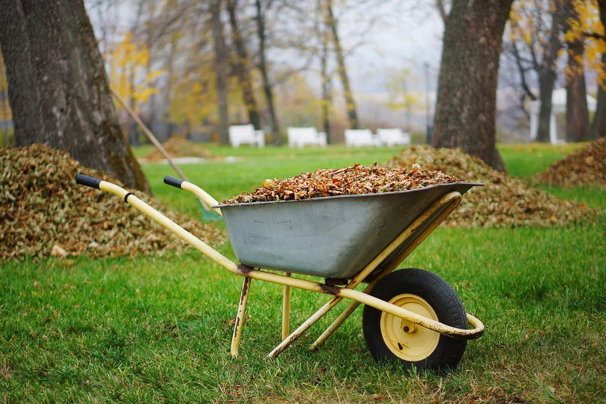 Hire A Company For Removal Of Waste Services In Charleston SC Today