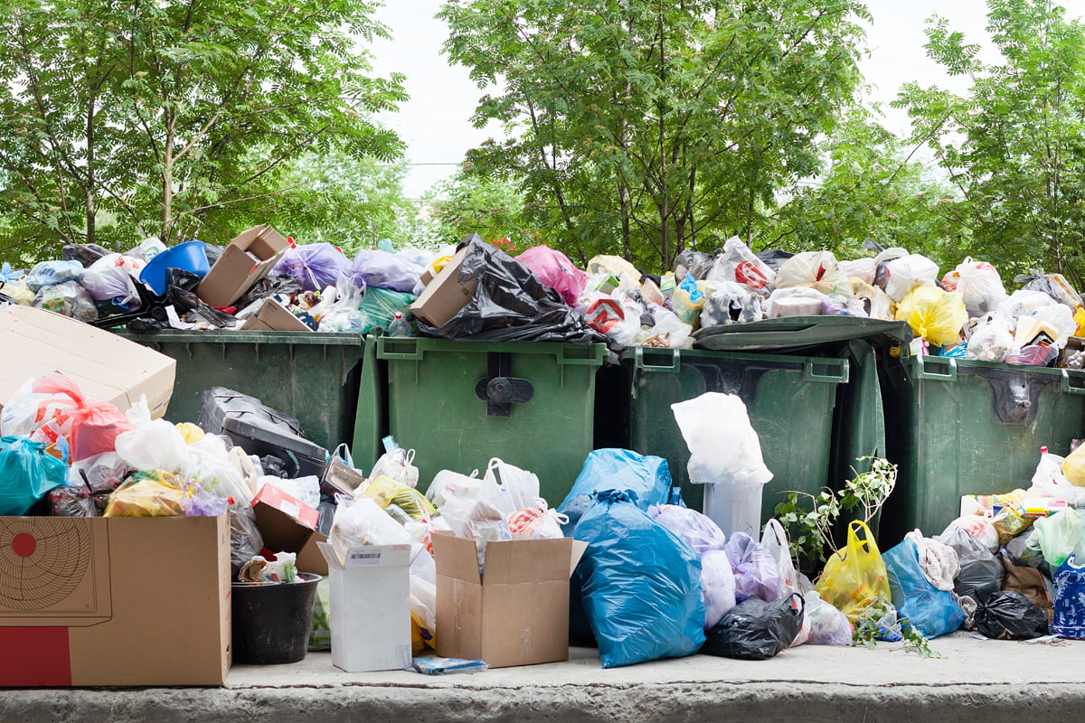 What Services Does a Waste Management Company Handle?