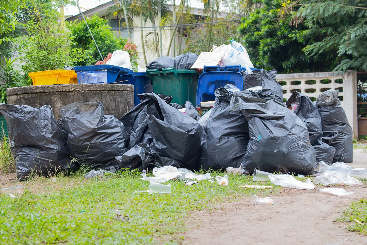 Huge Dumpster Rental Services